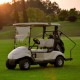 Best Selling 2 Seat Electric Club Car Golf Buggy